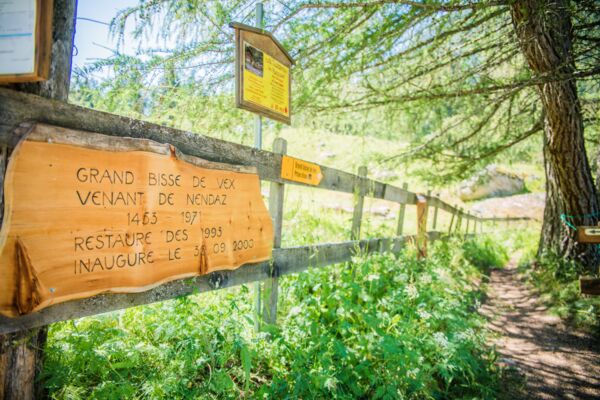 Le Chemin du Grand Bisse de Vex