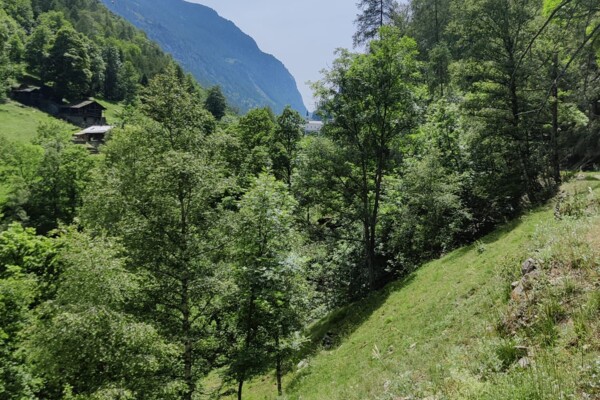 Stalden – Saas-Fee : Ancien Chemin de la Vallée
