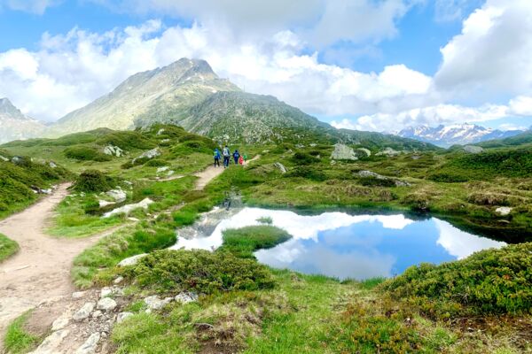 Au plus proche du glacier d'Aletsch