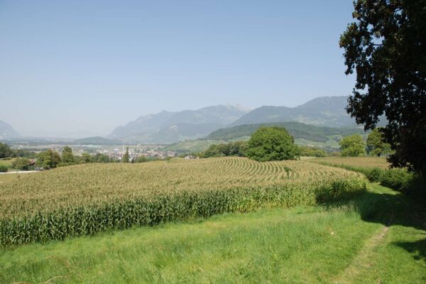 Tour des Deux Rives