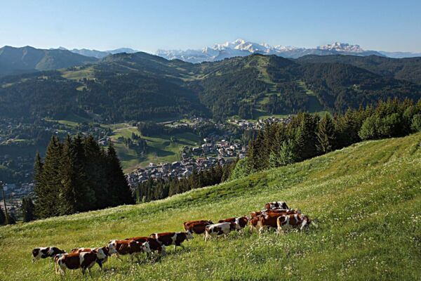 Tour des Portes du Soleil