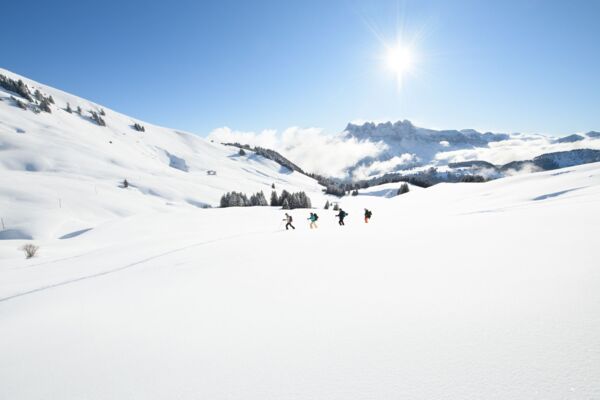 Morgins – Chanso