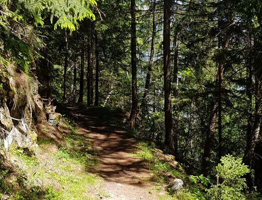 Bärenpfad (Chemin de l'ours)