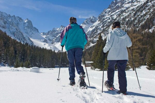 Bisse de Champex