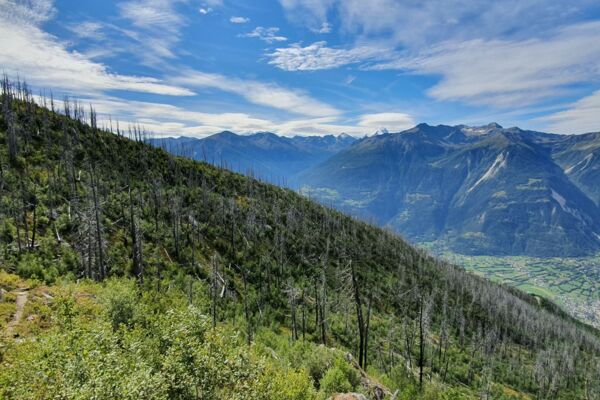 Le parcours panoramique pour les connaisseurs