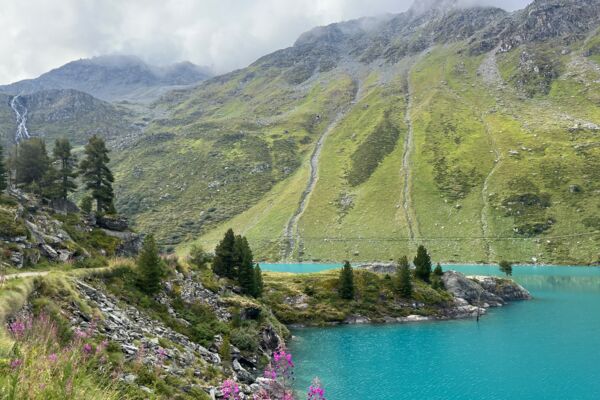 Au coeur du vallon de Nendaz