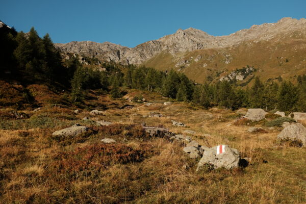 Engeloch – Sirwoltusattel – Bistinepass – Simplon