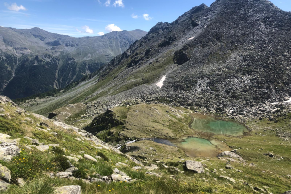Meidsee
