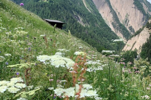 Binntal : Le joyaux préservé
