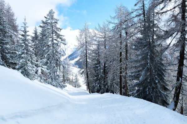 Fleschen Trail
