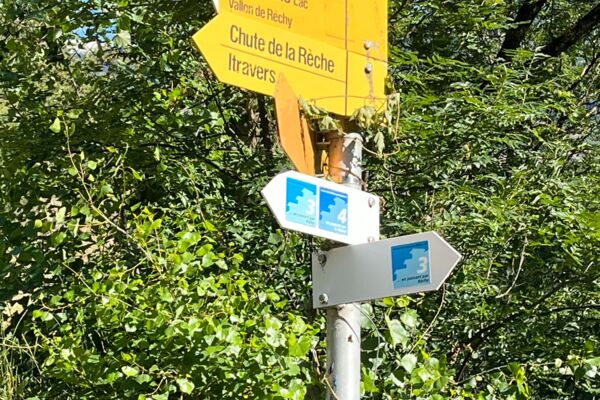 Entdeckung der Ricard Suone: eine historische und erfrischende Wanderung in Réchy