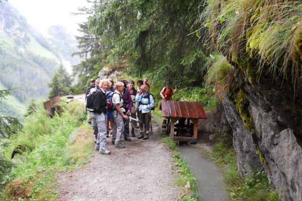 Bisse du Trient