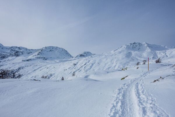 Simplonpass Trail