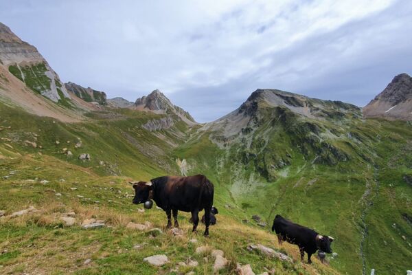 Der Panoramaweg für Geniesser