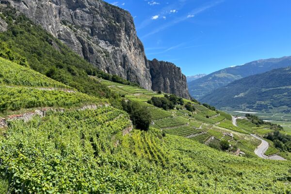 Chamoson, terre de lutte pour et contre l’Eau