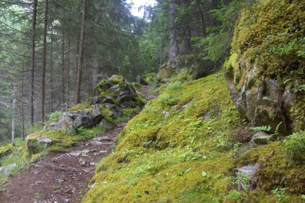 Le Turtmanntal – La nature à l’état pur !