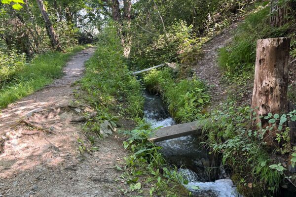 Entdeckung der Ricard Suone: eine historische und erfrischende Wanderung in Réchy