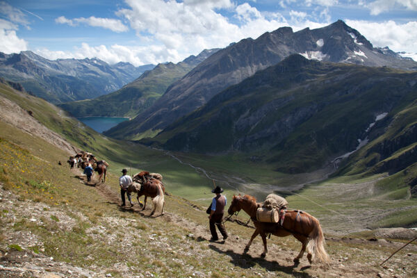 Via Sbrinz – du fromage à la conquête du sud