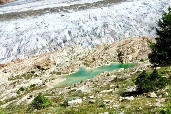 Au plus proche du glacier d'Aletsch