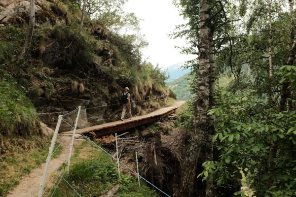 De Blatten à Brigue : une randonnée entre forêt, bisses et villages valaisans