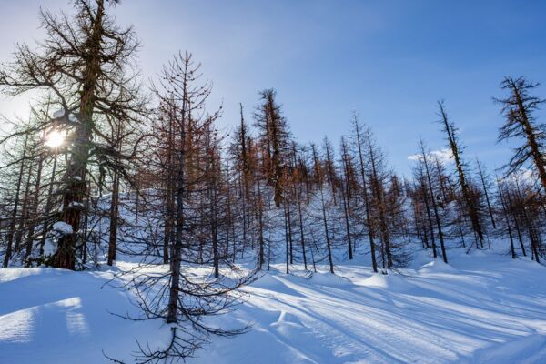 Rothwald Trail