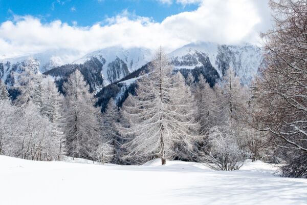 Fleschen Trail