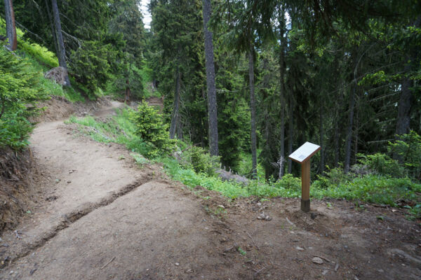 Gommer Höhenweg