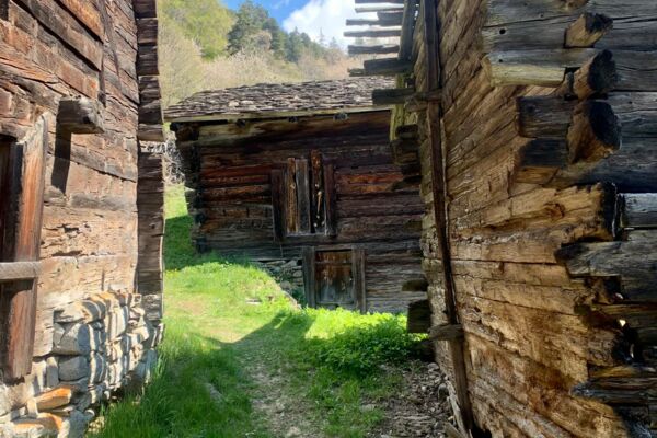 Le réveil du printemps sur le versant sud