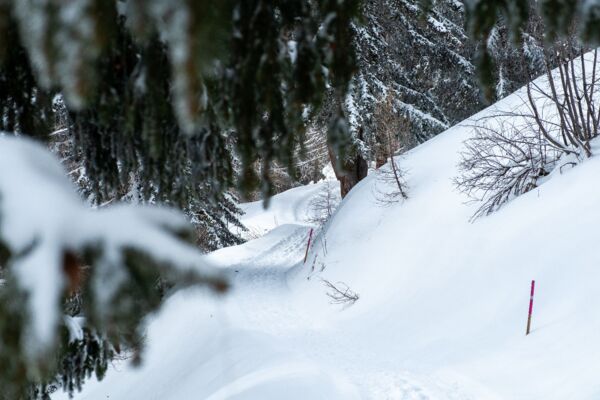 Fleschen Trail