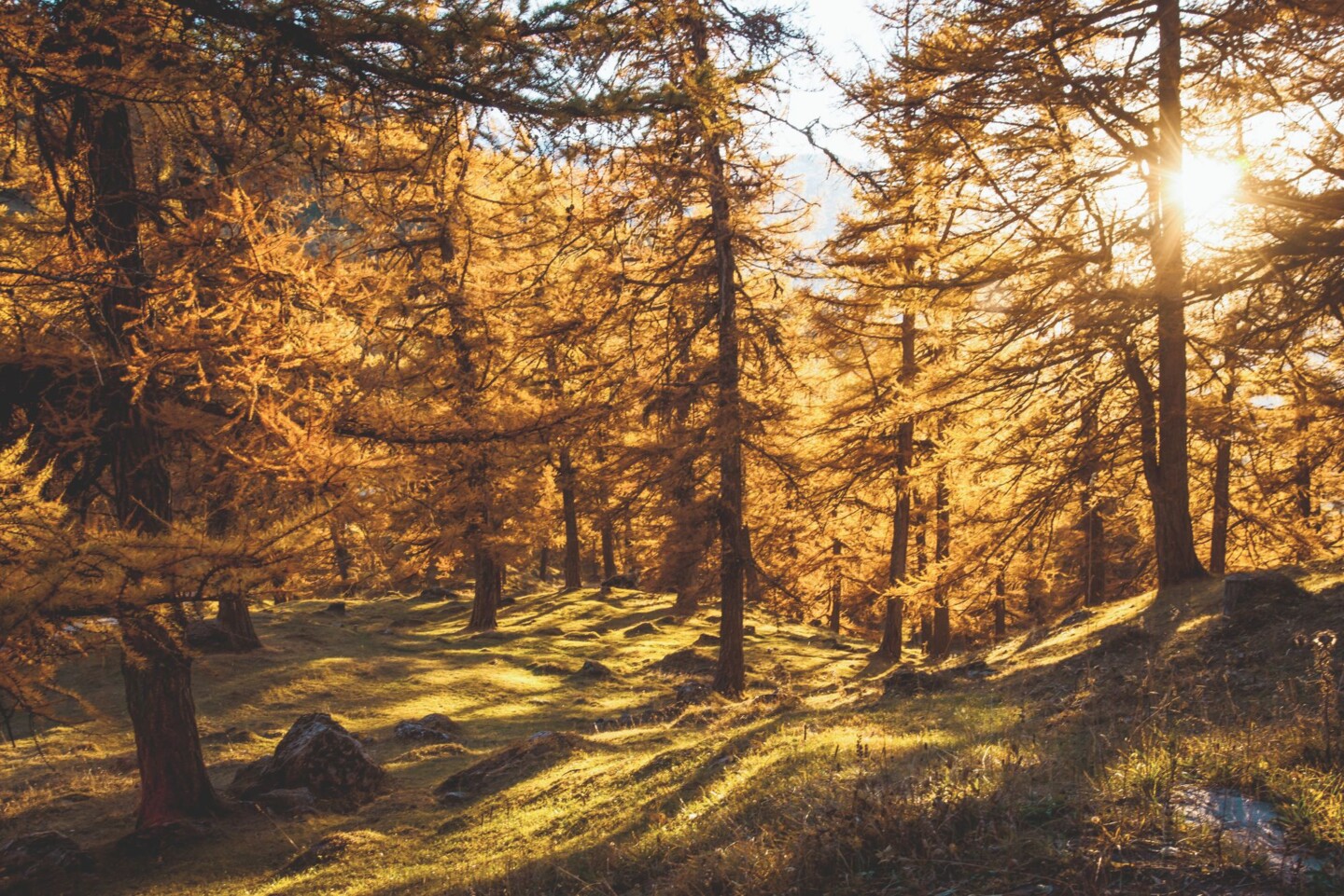 2016_Automne_ColduLein_8_©Valais-Wallis Promotion - David Carlier-1
