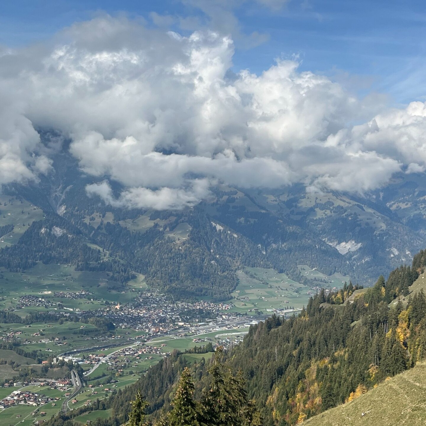 IMG_2902
