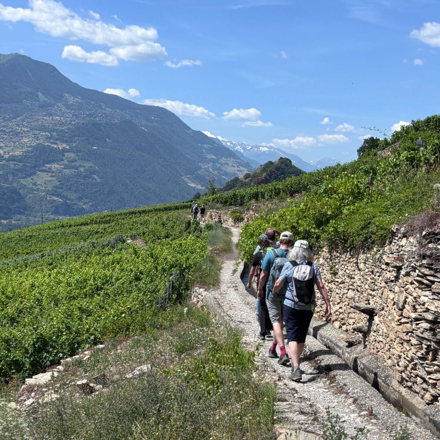 WhatsApp Image 2026-06-22 at 09
