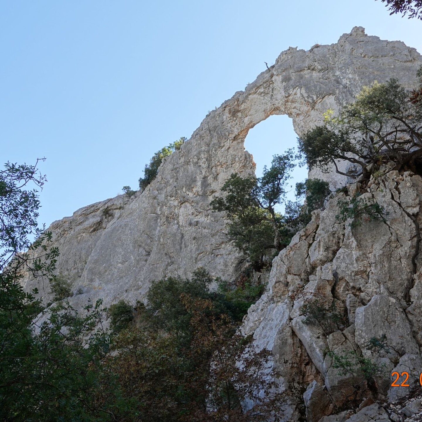 DSC09391