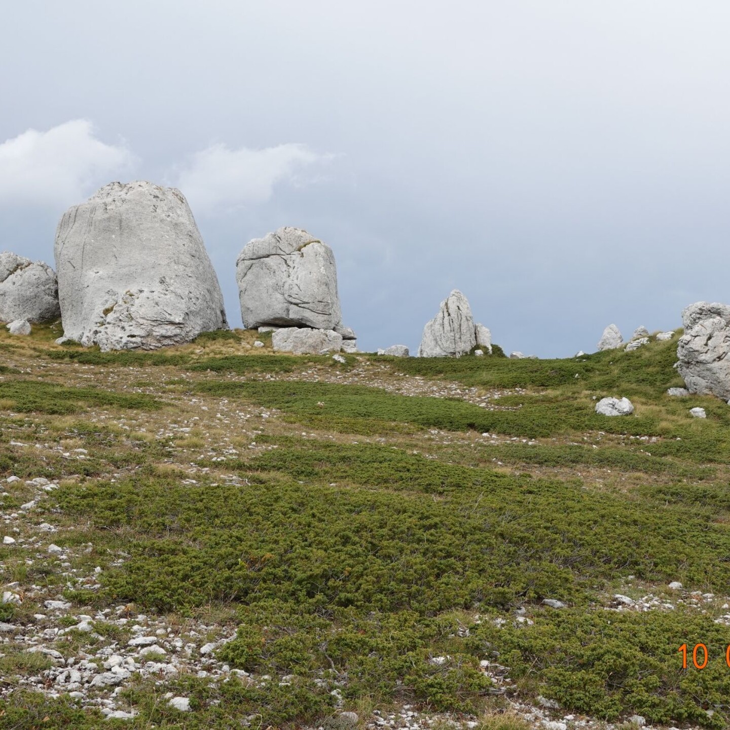 DSC09137
