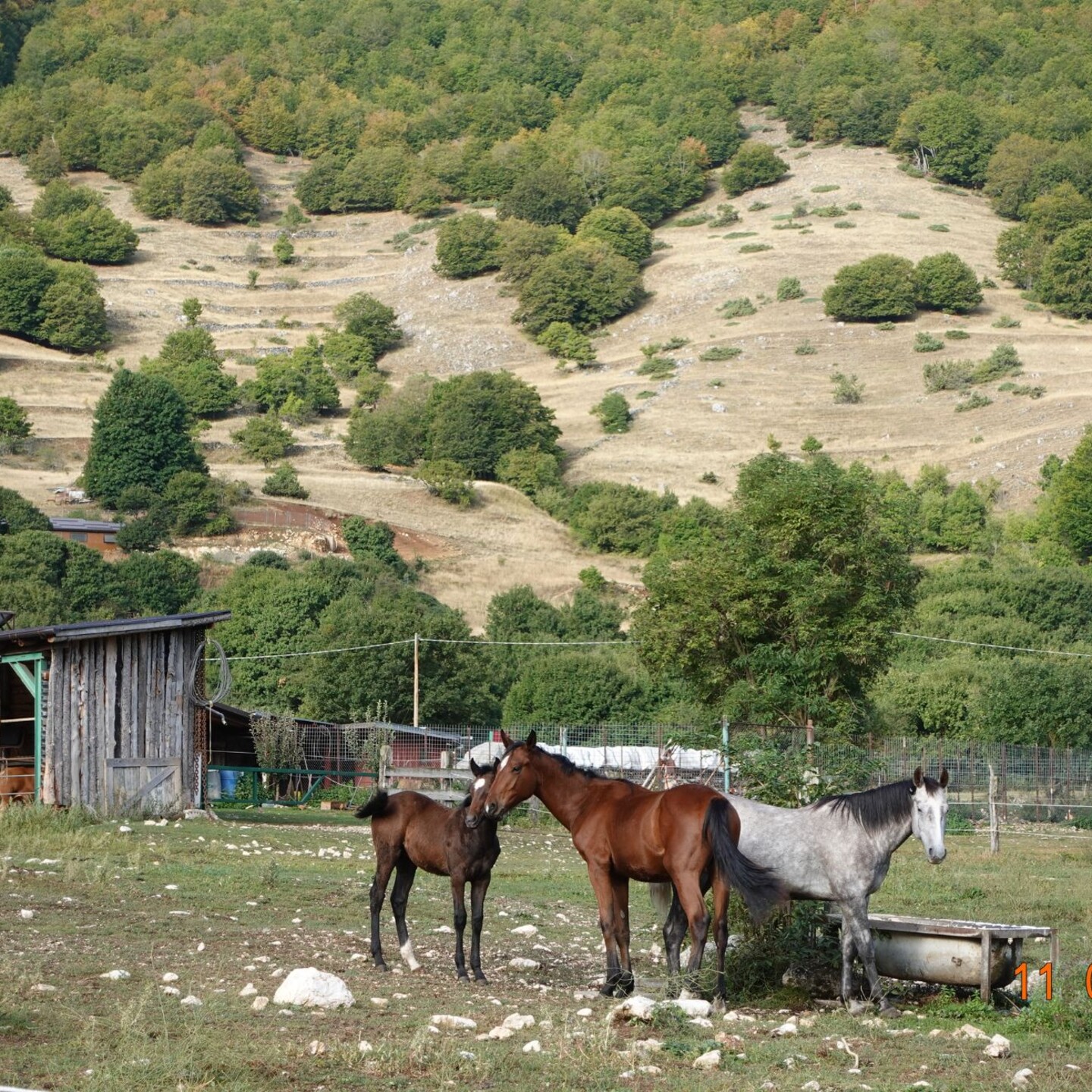 DSC09231 2