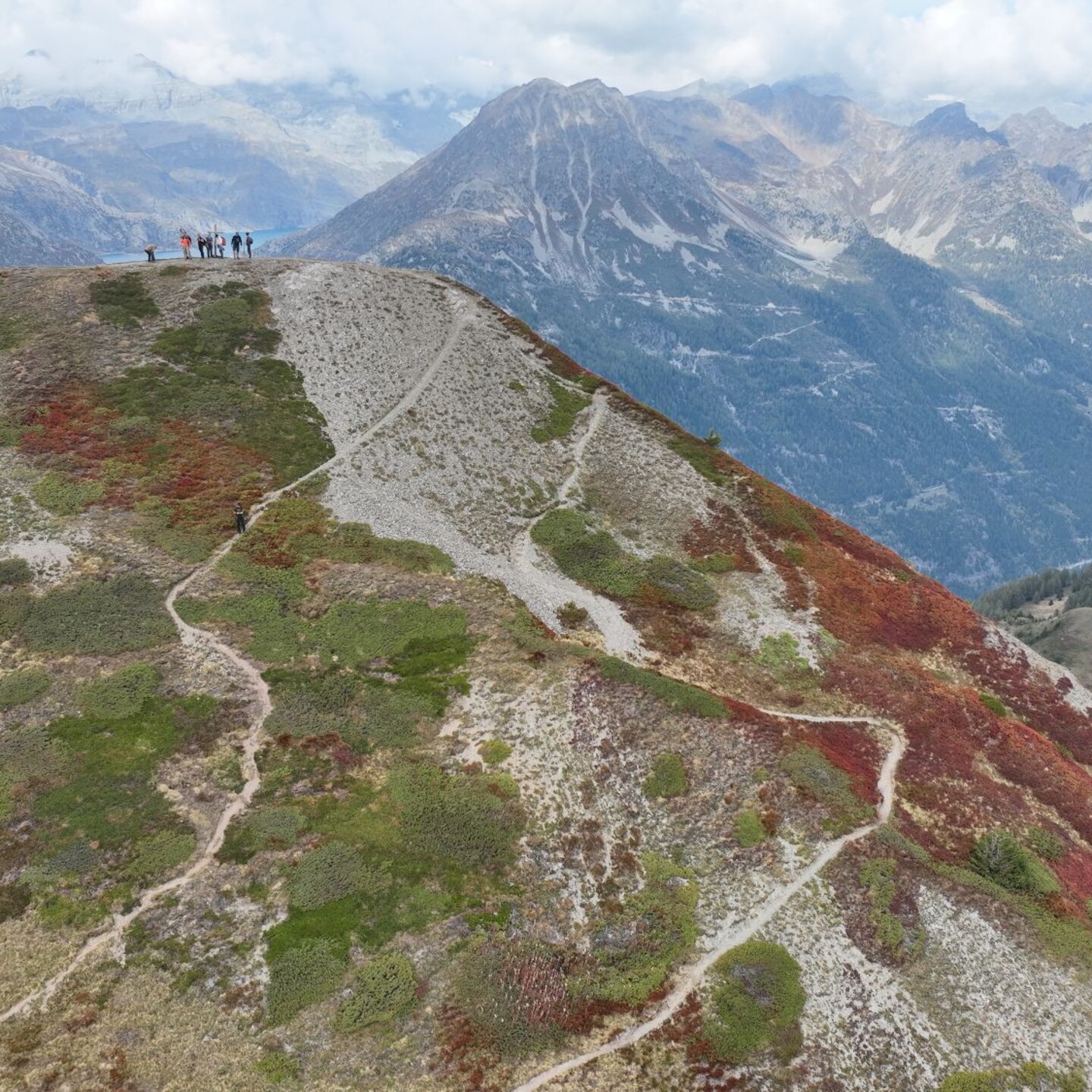 DJI_0781