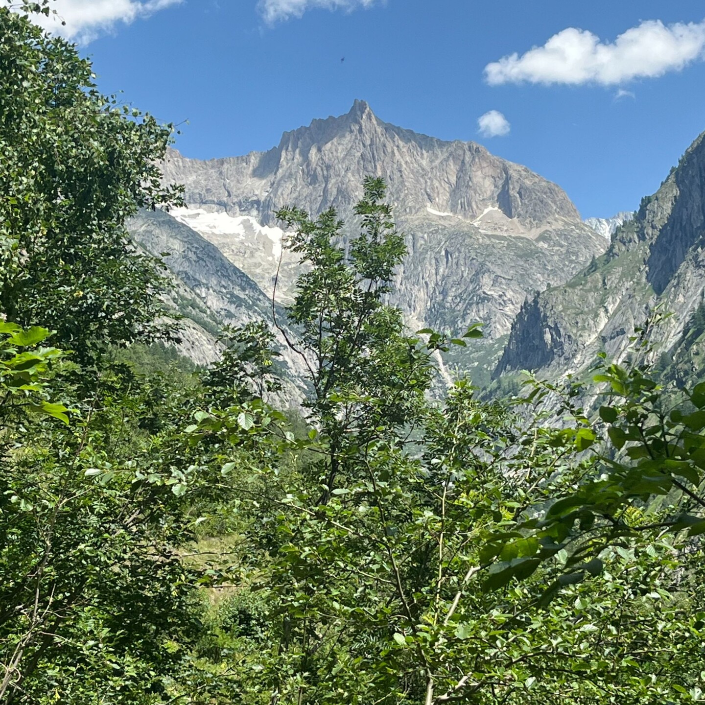 IMG_1896