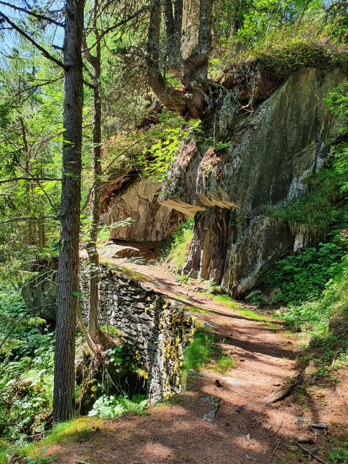 Chemin de montée au refuge des Grands