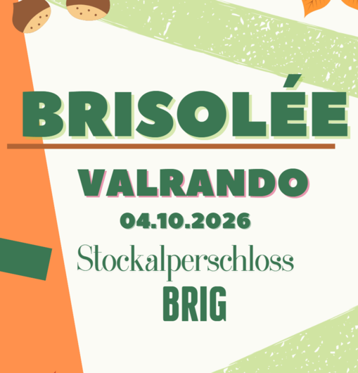 Brisolée Teaser CMS