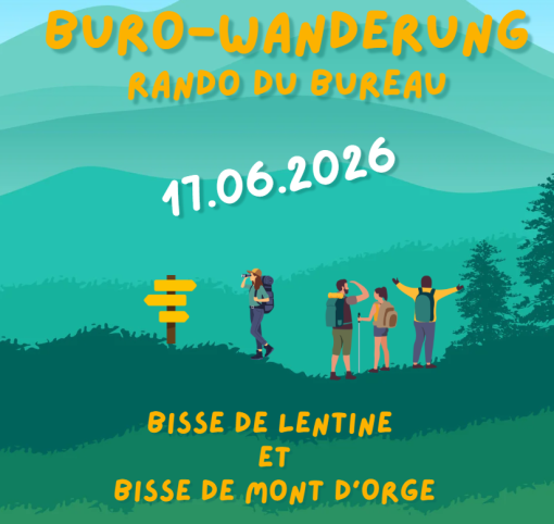 Teaser CMS rando du bureau