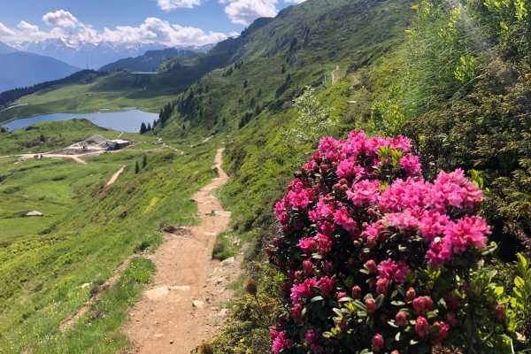 R32: Bettmeralp - Biel - Chatzulecher - Blausee - Bettmersee - Bettmeralp