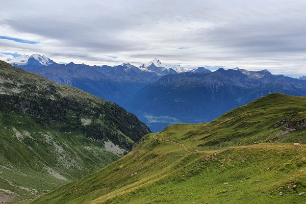 Le parcours panoramique pour les connaisseurs