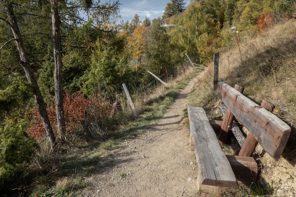 Der Herbst und seine Farben