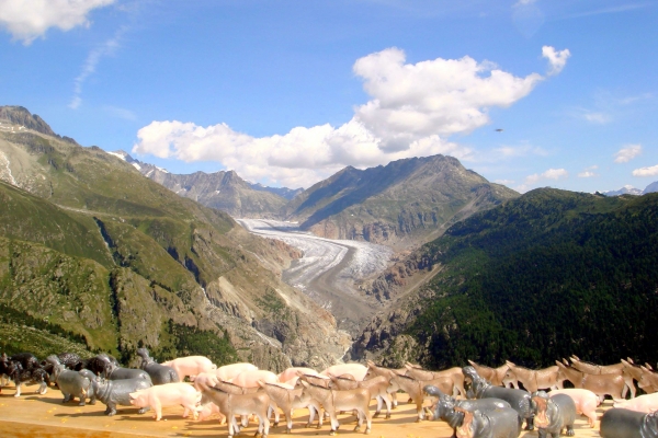 Hängebrücke «Belalp - Riederalp»