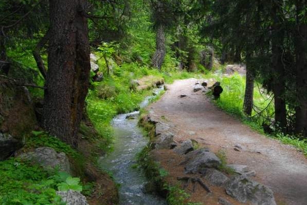 Der Bisse de Trient, der Bisse des Gletschers