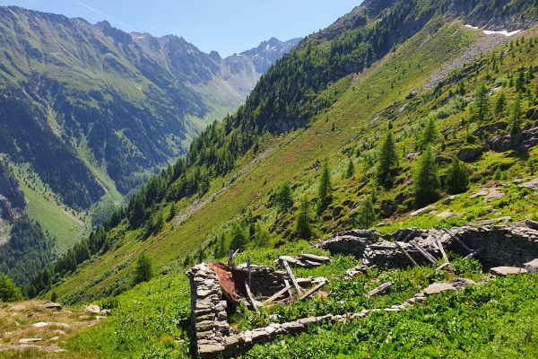 Col de la Forclaz - Les Grands - Col de Balme - Catogne - Trient