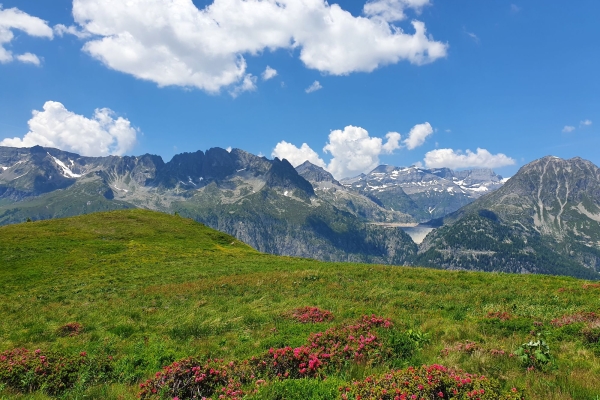 Col de la Forclaz - Les Grands - Col de Balme - Catogne - Trient