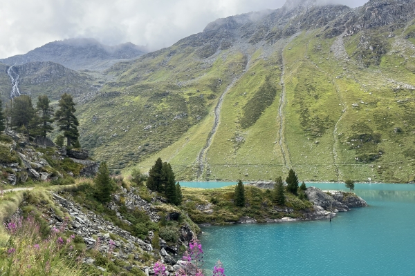 Au coeur du vallon de Nendaz