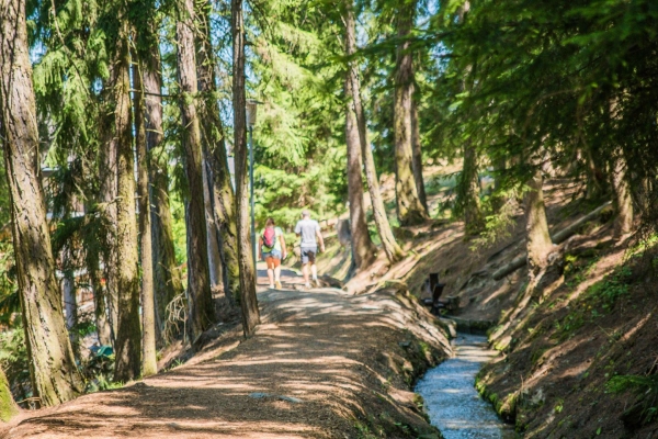 Der Weg der grossen Suone von Vex