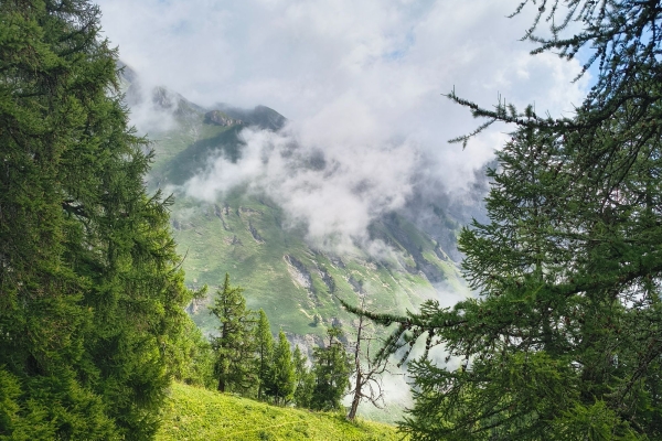 Au pied des Muverans, de Ovronnaz à Derborence